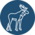 Elk