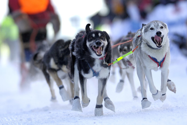 Balto co