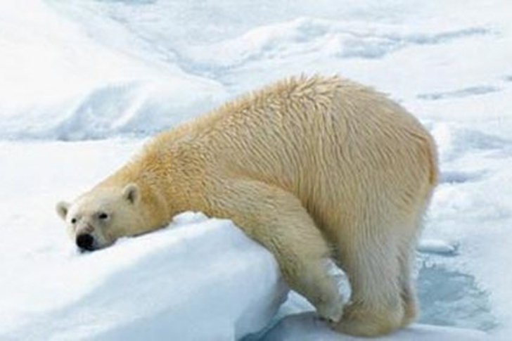 Svalbard