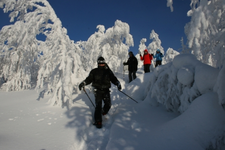 Trekking winter