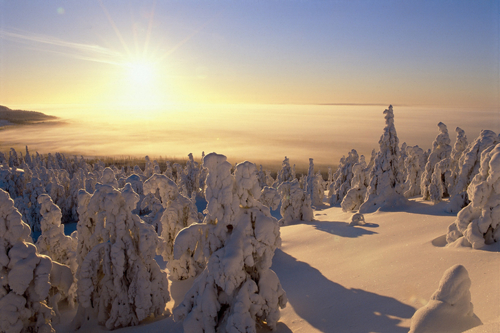 Finlandia winter