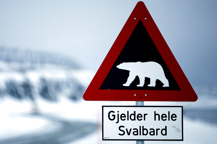Svalbard 720x480