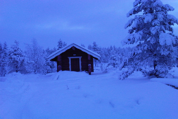 Cottage blu light