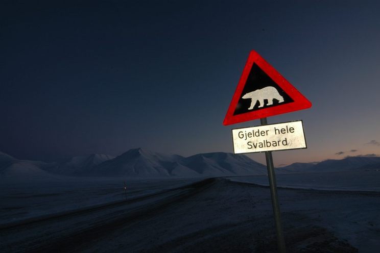  polar night 23 1000x665