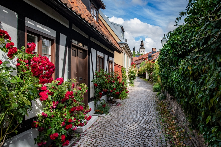 Gotland dettaglio