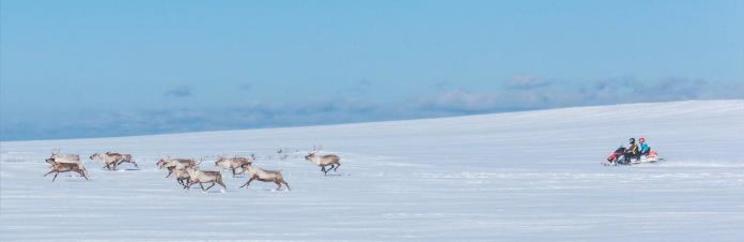 Arctic ocean