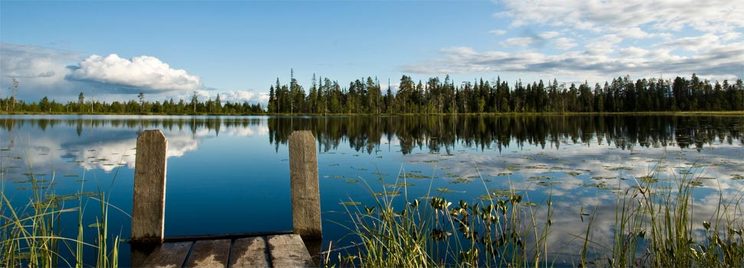 Lapland in summer