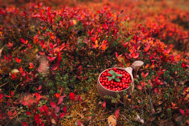 Autunno