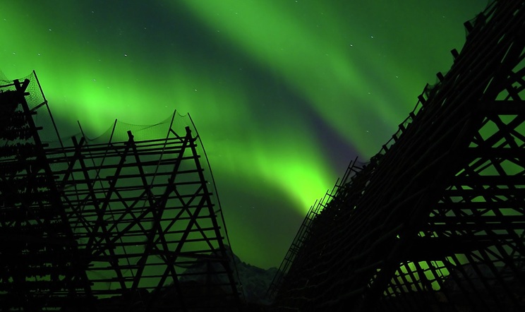 Aurora lofoten feb