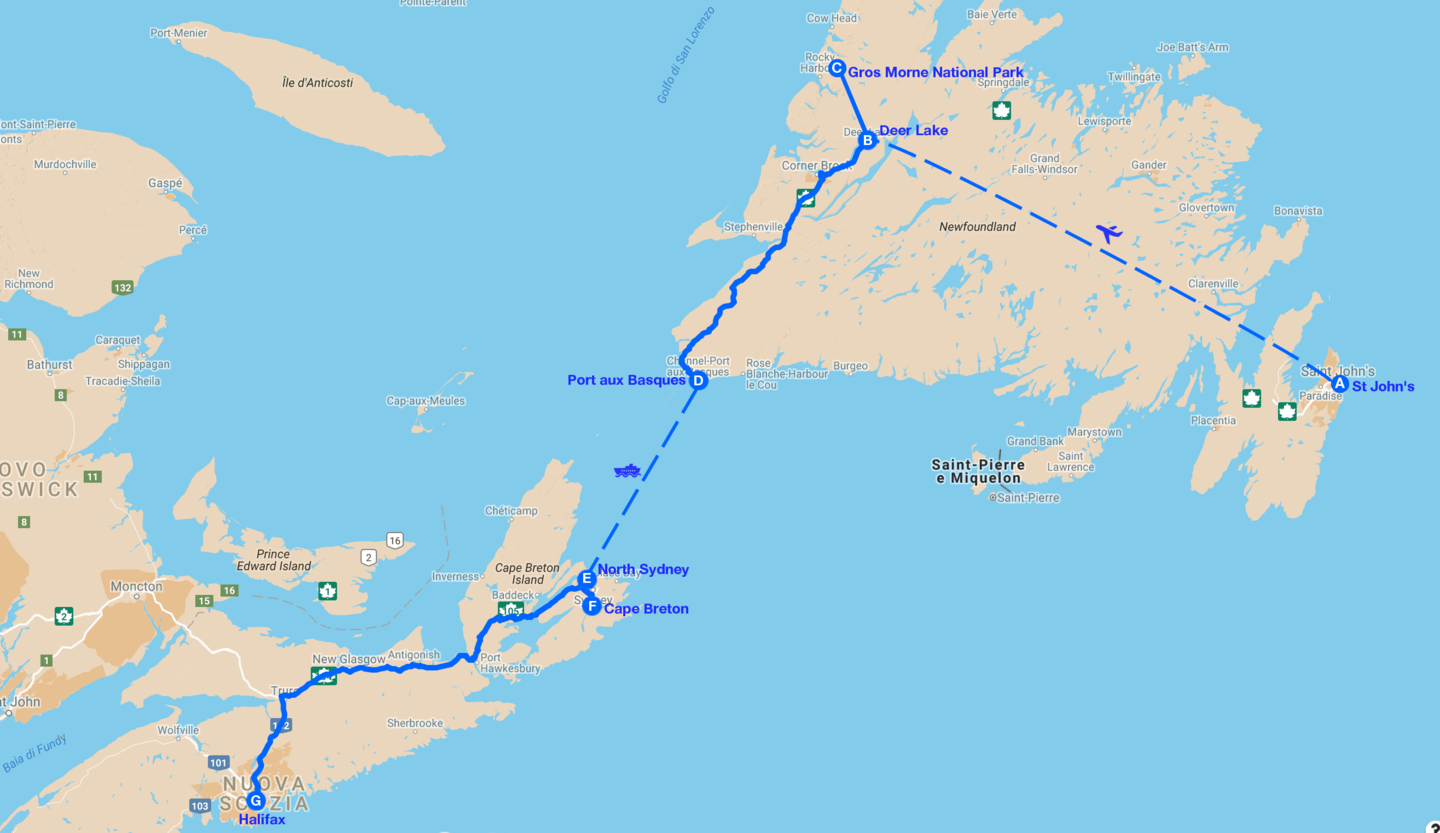 Newfoundland e terranova