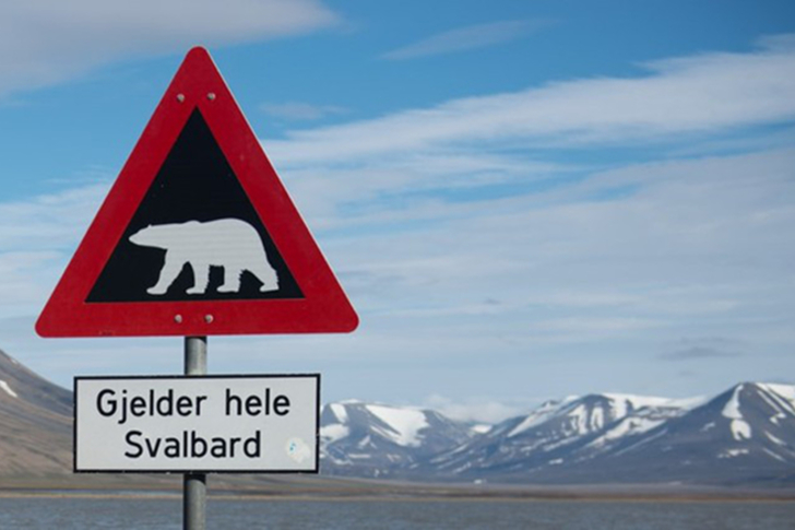 Gjelder hele svalbard