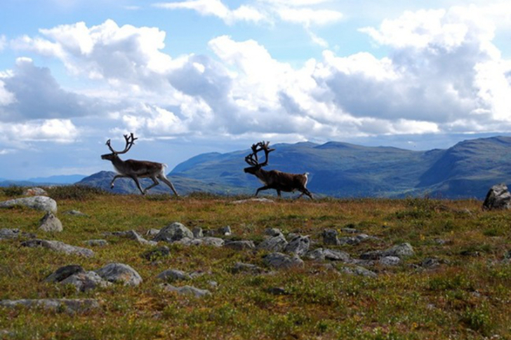 Trekking parco nazionale