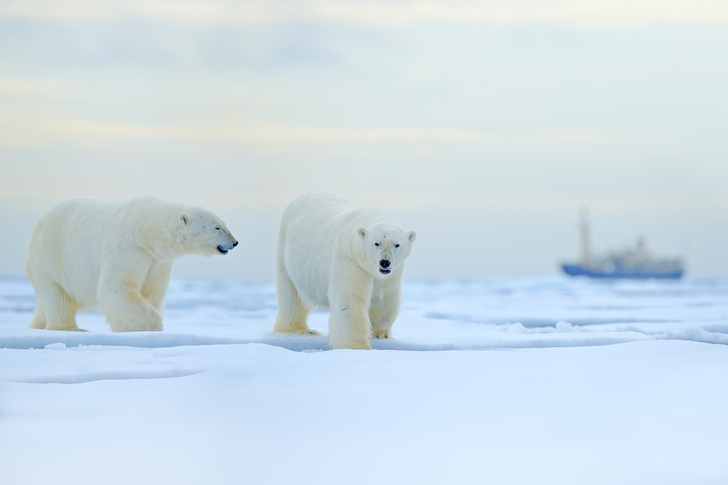 Svalbard circumnav