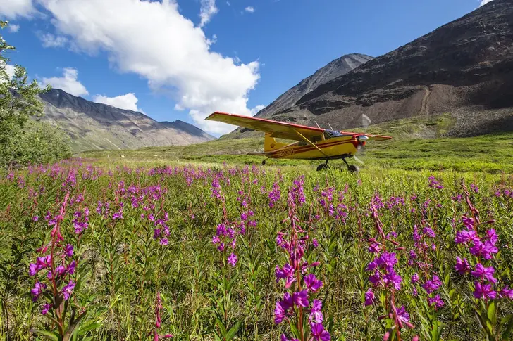 Wrangell mountain air (002)