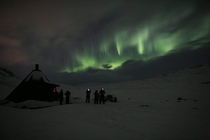 Aurora safari