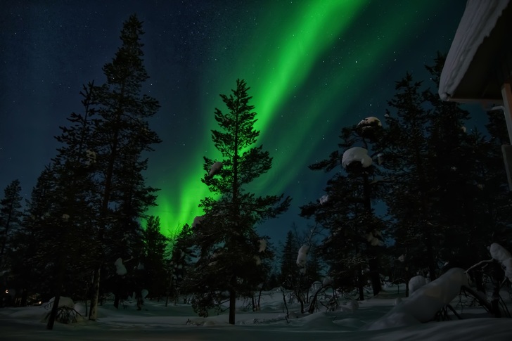 Salla 21nov