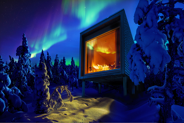 Arctic treeh0